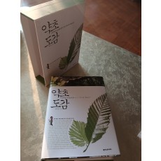 약초도감