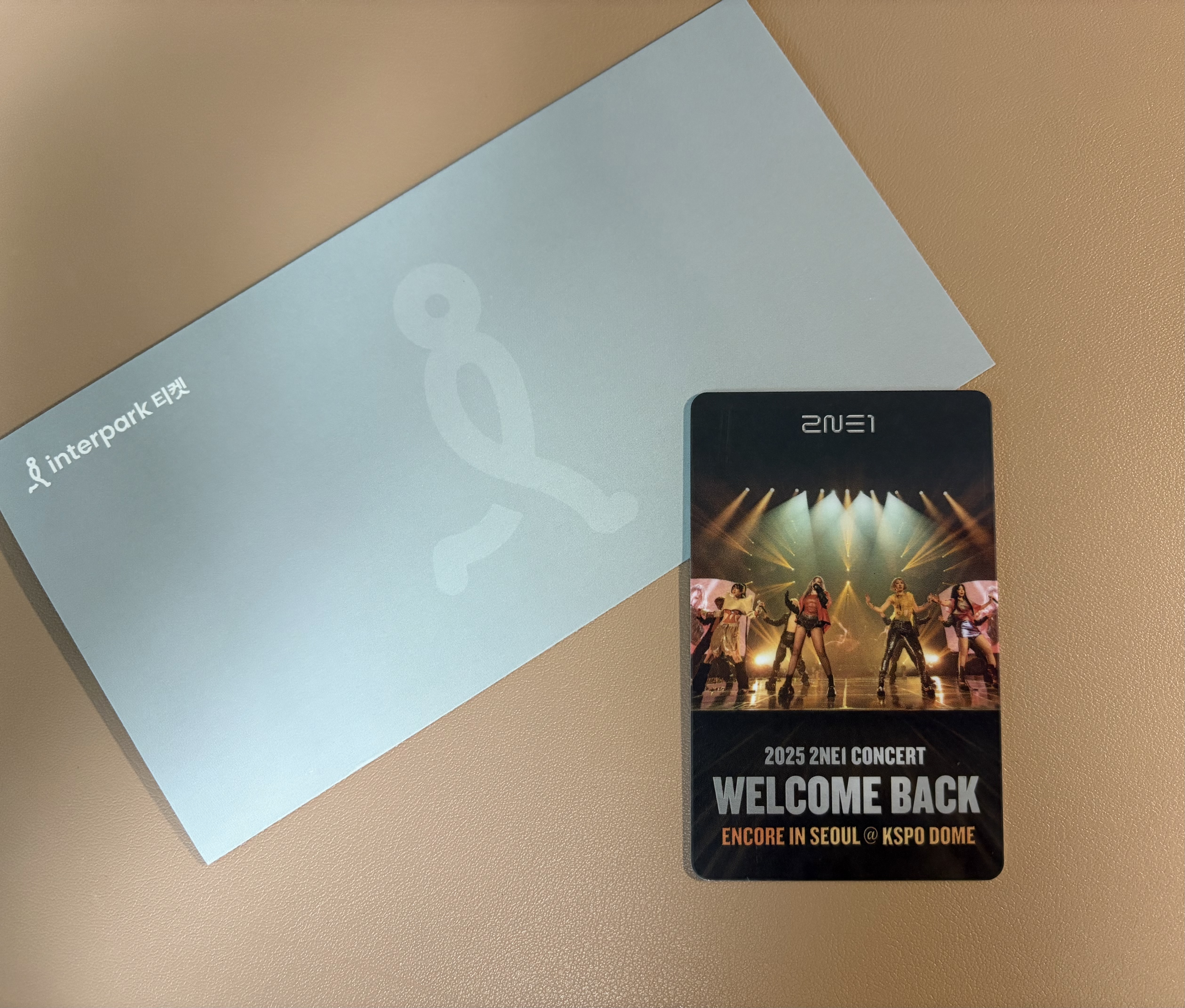 투애니원 콘서트 티켓