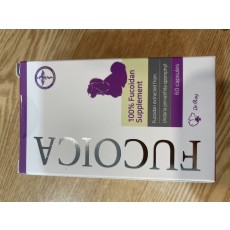 닥터레이후코이카